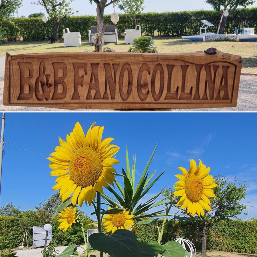 Bnb Fano Collina. La Pace Di Una Vacanza Piagge Экстерьер фото