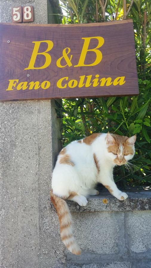 Bnb Fano Collina. La Pace Di Una Vacanza Piagge Экстерьер фото