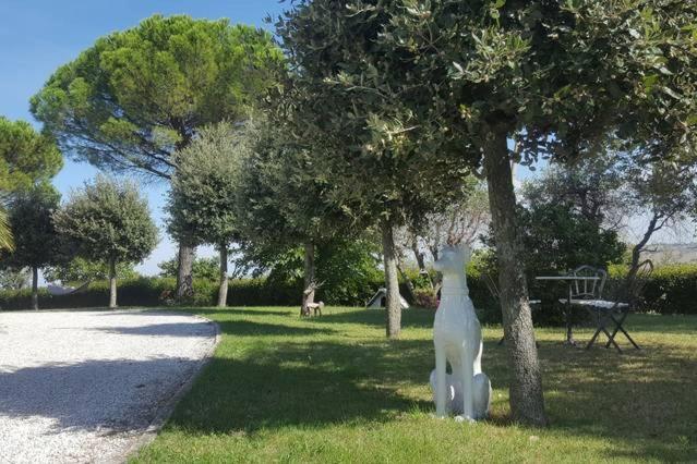 Bnb Fano Collina. La Pace Di Una Vacanza Piagge Экстерьер фото