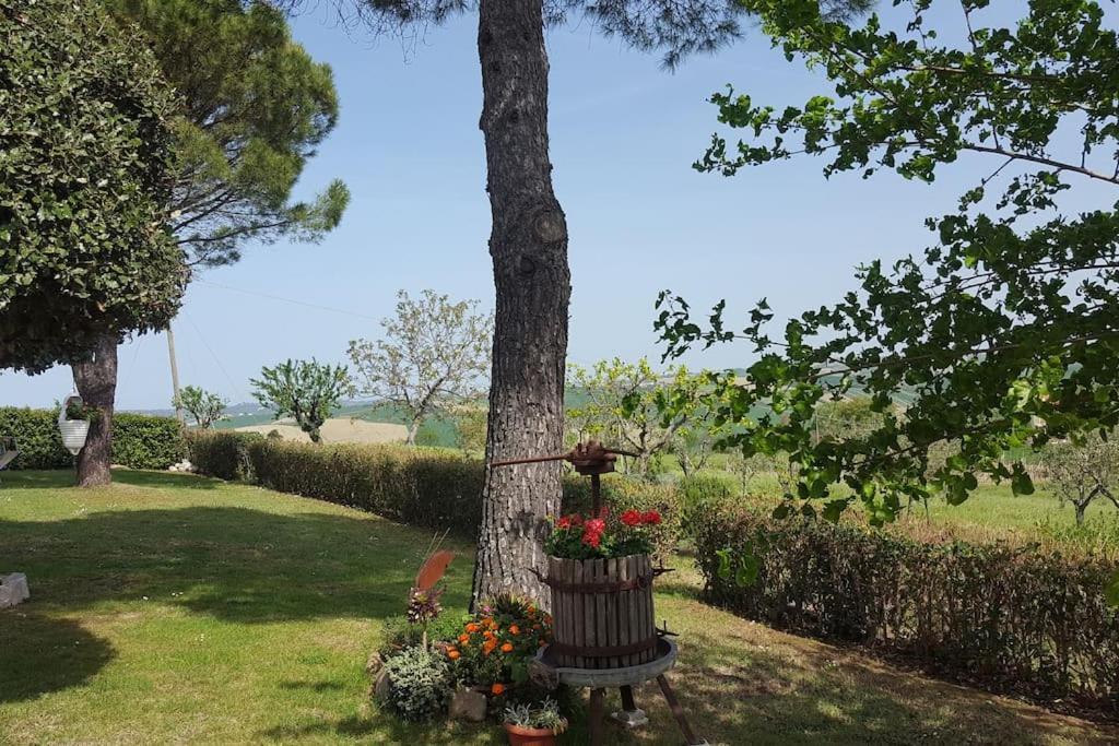 Bnb Fano Collina. La Pace Di Una Vacanza Piagge Экстерьер фото