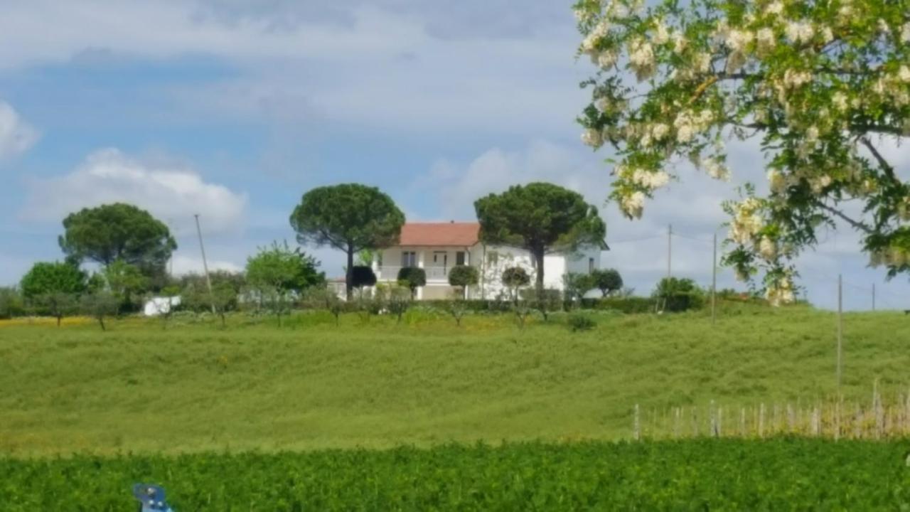 Bnb Fano Collina. La Pace Di Una Vacanza Piagge Экстерьер фото