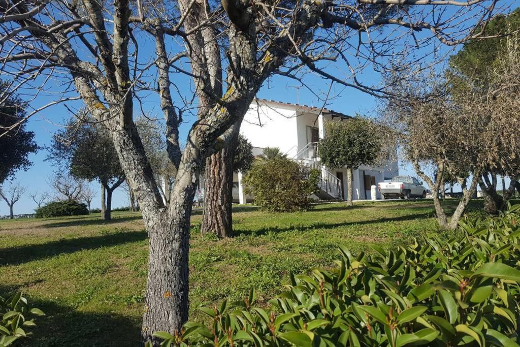 Bnb Fano Collina. La Pace Di Una Vacanza Piagge Экстерьер фото